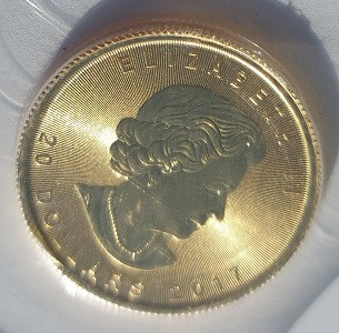 One Half oz Gold Maple Leaf - Royal Canadian Mint dans Art et objets de collection  à Calgary