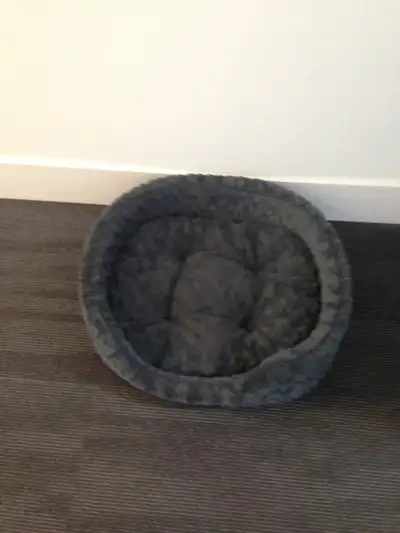 large cat bed new condition $10
