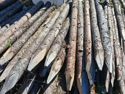 Fence posts, stakes, cut to order, View more
