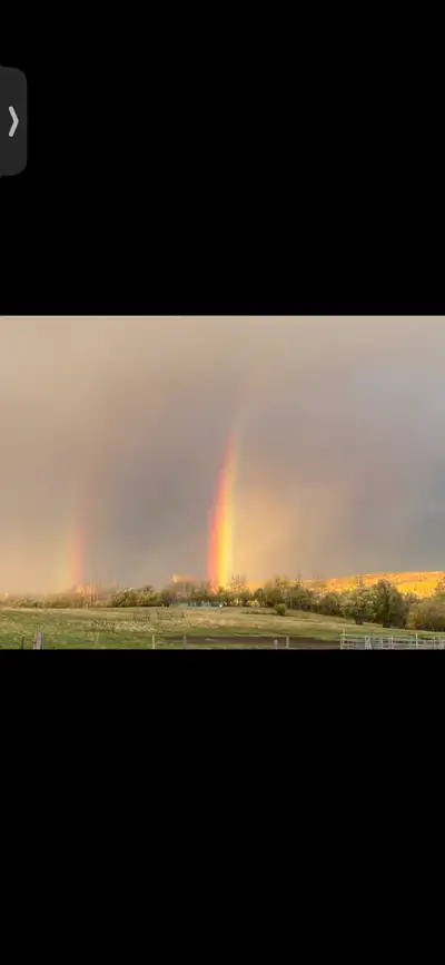 Hi all! my family and I are relocating from BC to the Kamsack area we are looking for an acreage to...
