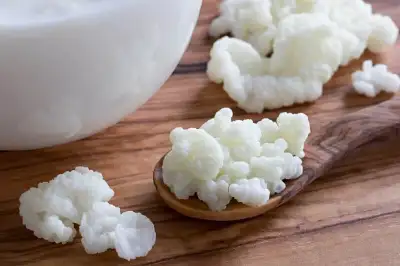 Make your own delicious and healthy milk kefir at home with these hard working 'grains' - kefir is a...