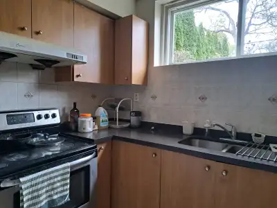 *Available from Nov 1st* Spacious, newly painted, basement apartment with a renovated kitchen. This...