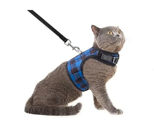 Flannel cat harness and leash  medium  dans Accessoires  à Ville de Montréal - Image 3