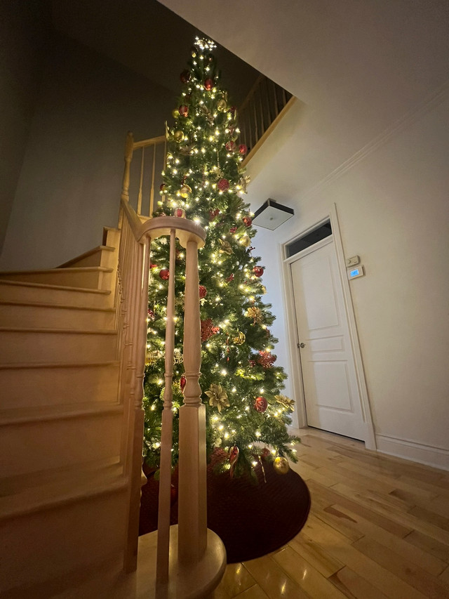 Sapin de Noël  dans Fêtes et événements  à Laval/Rive Nord