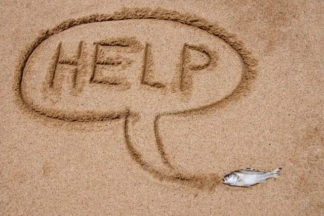 EMERGENCY HELP FOR RENT