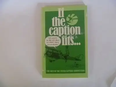 If The Caption Fits... The Best Of The PUNCH Caption Competition, View more