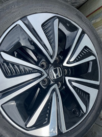 Honda civic oem rims (Mint condition)