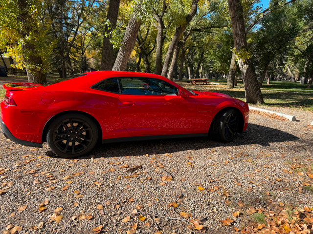 selling car in Cars & Trucks in Calgary