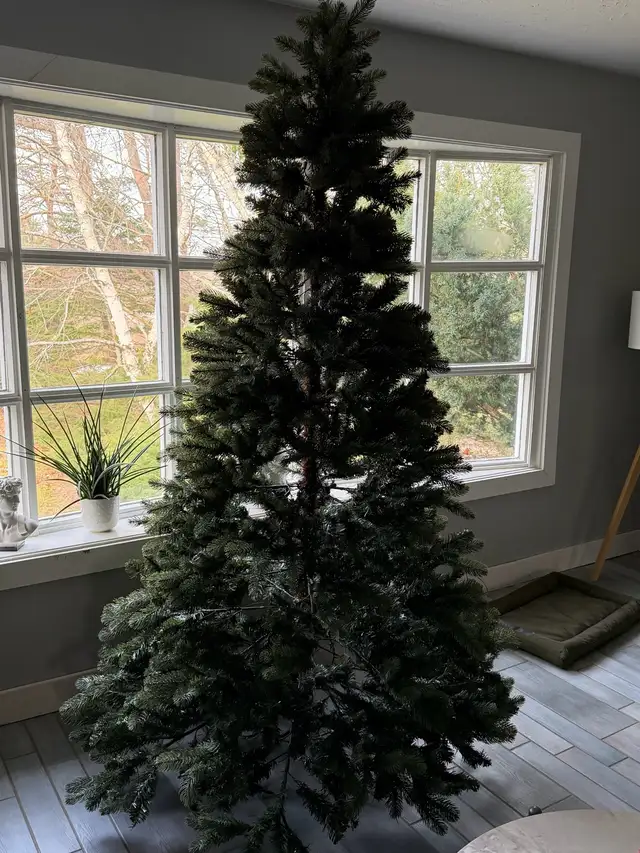 Christmas Tree in Other in Bedford - Image 2