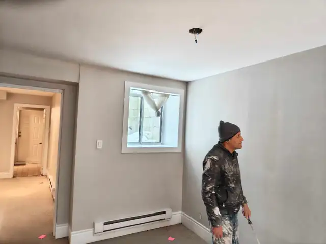 professional painter services to refresh557928355233812486