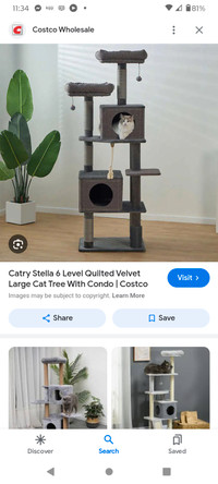 Looking for a cat tree