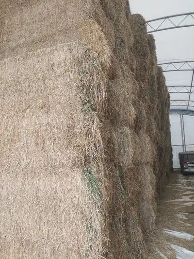 Various Feeds Available, View more