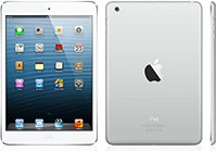 Apple iPad Mini 2 with Wi-Fi 16GB + Case