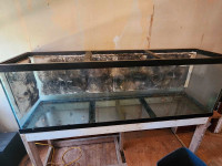 125 gallon terrarium