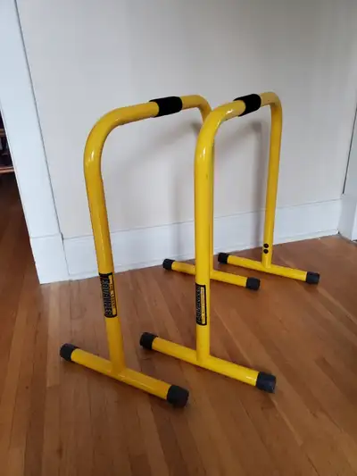 Lebert Equalizer - The ultimate all-in-one piece of strength training equipment! A dynamic and porta...