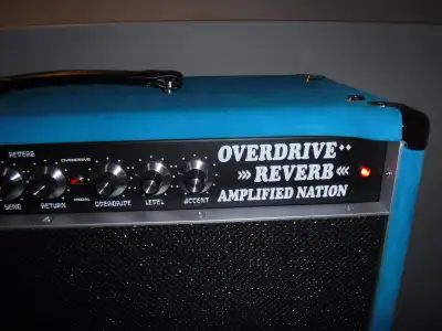 Amplified Nation Overdrive Reverb Dumble Combo Amp, View more