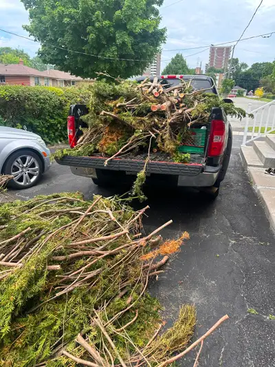 Yard cleanup / junk removal, View more