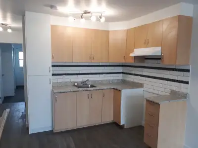 Logement à louer à Verdun rénover style condo entré laveuse,séch