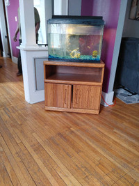 20 or 30 gallon aquarium and stand