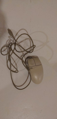 HP mouse