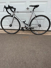 Fuji Classic Single Speed/Fixie Bicycle