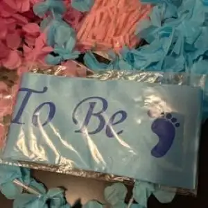 Baby Shower Gender Reveal Stuff in Other in Ottawa - Image 3