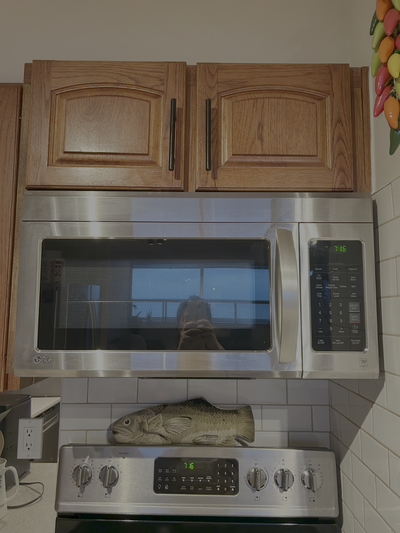 LG Stainless Steel Over-the-Range Microwave, View more