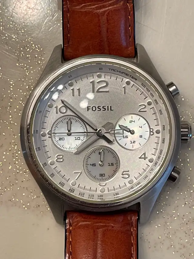 Fossil Flight62864744674561123