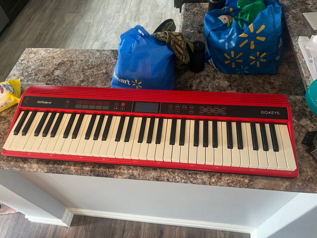 Roland Go Keys Keyboard in Pianos & Keyboards in St. John's