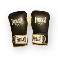 Everlast Powerlock Boxing Gloves | Size: 16 OZ