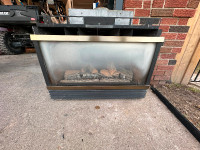 Gas Fireplace insert - FREE