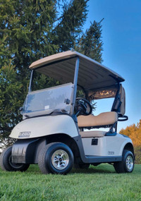 2015 EZGO RXV 48v Electric Golf Cart