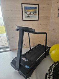 Treadmill/Tapis roulant