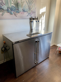 Commercial Bar Cooler/Kegerator/Liquid Dispenser