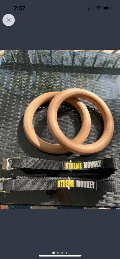 New gym rings, bought for 80 plus tax, a steal at $50 cash!