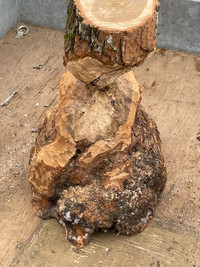 Maple Beaver Sculpture