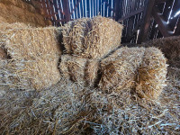 Straw small square bales