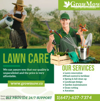 Grass cutting/sodding/ weed control/ fetrilizer/ gardening 