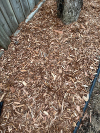 Cedar mulch 
