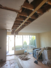 Safe wall removal, structural engineering, insured 
