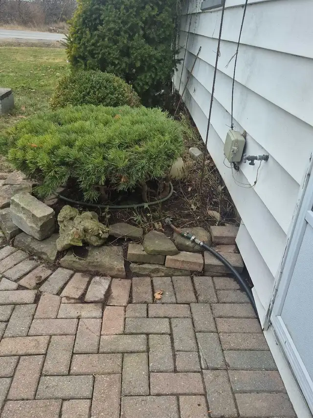 spring yard clean ups426574696552212480