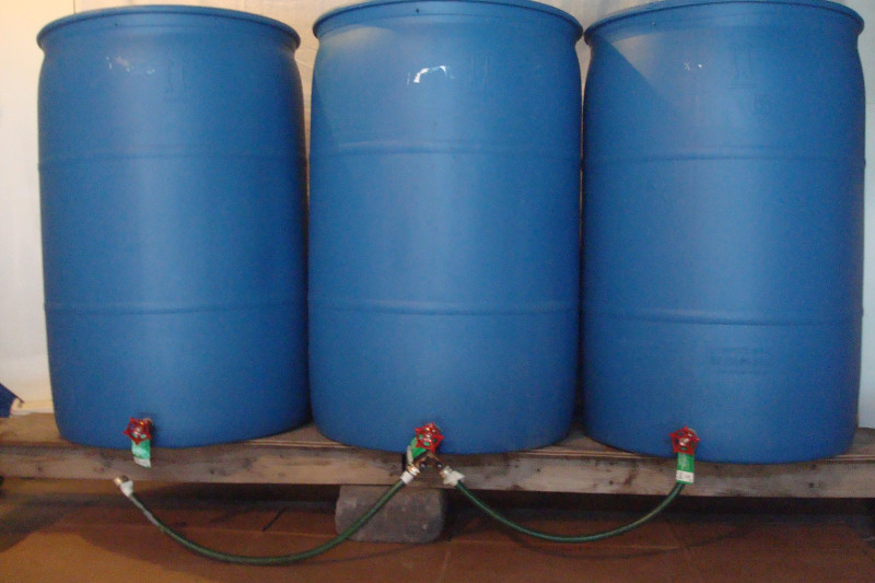 BLUE IS BETTER!! 55 Gallon Rain Barrels With NEW Brass Spigots Plants
