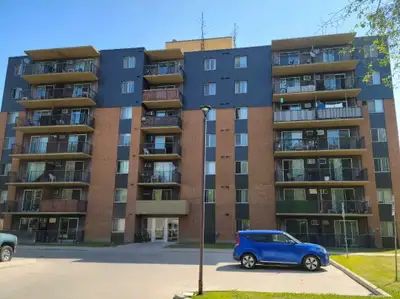 271-291 Lauzon Road - 1 Bedroom Apartment *** 1 month free rent w/12 month lease *** Two very quiet...