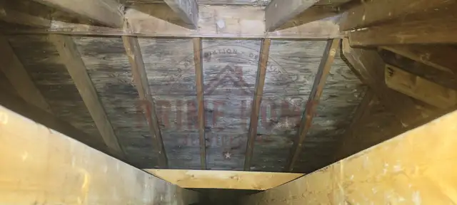 Attic Mold Remediation64959961008769122