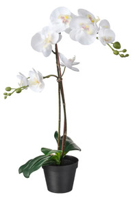 IKEA Artificial potted plant, Orchid white