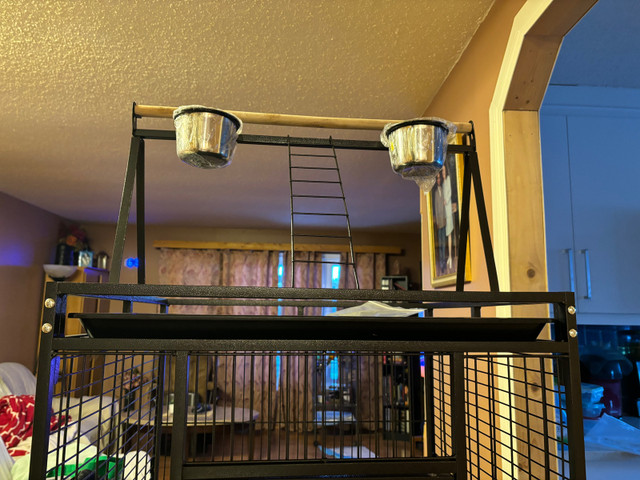 Extra Large Bird Cage For Sale  in Birds for Rehoming in Calgary - Image 3