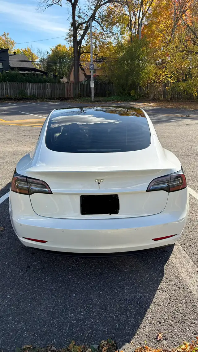2021 Tesla Model 3 SR+598246684571750403