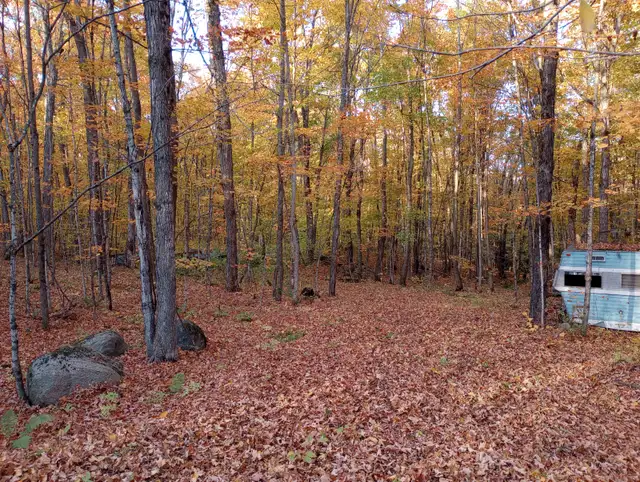 Waterfront Lot appx 3.4 AC in Nipissing Ont. year-round road in Land for Sale in North Bay - Image 8