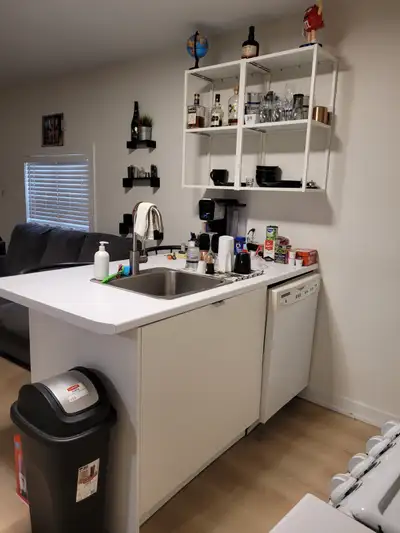 1 Bedroom Apt for rent in Tottenham