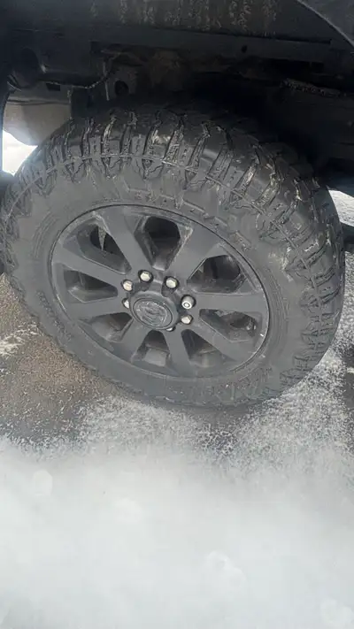 Factory 20” rims on Bighorn w/ LT285/60/20 Radar Renegade tires I have a 5th tire as well to go as a...